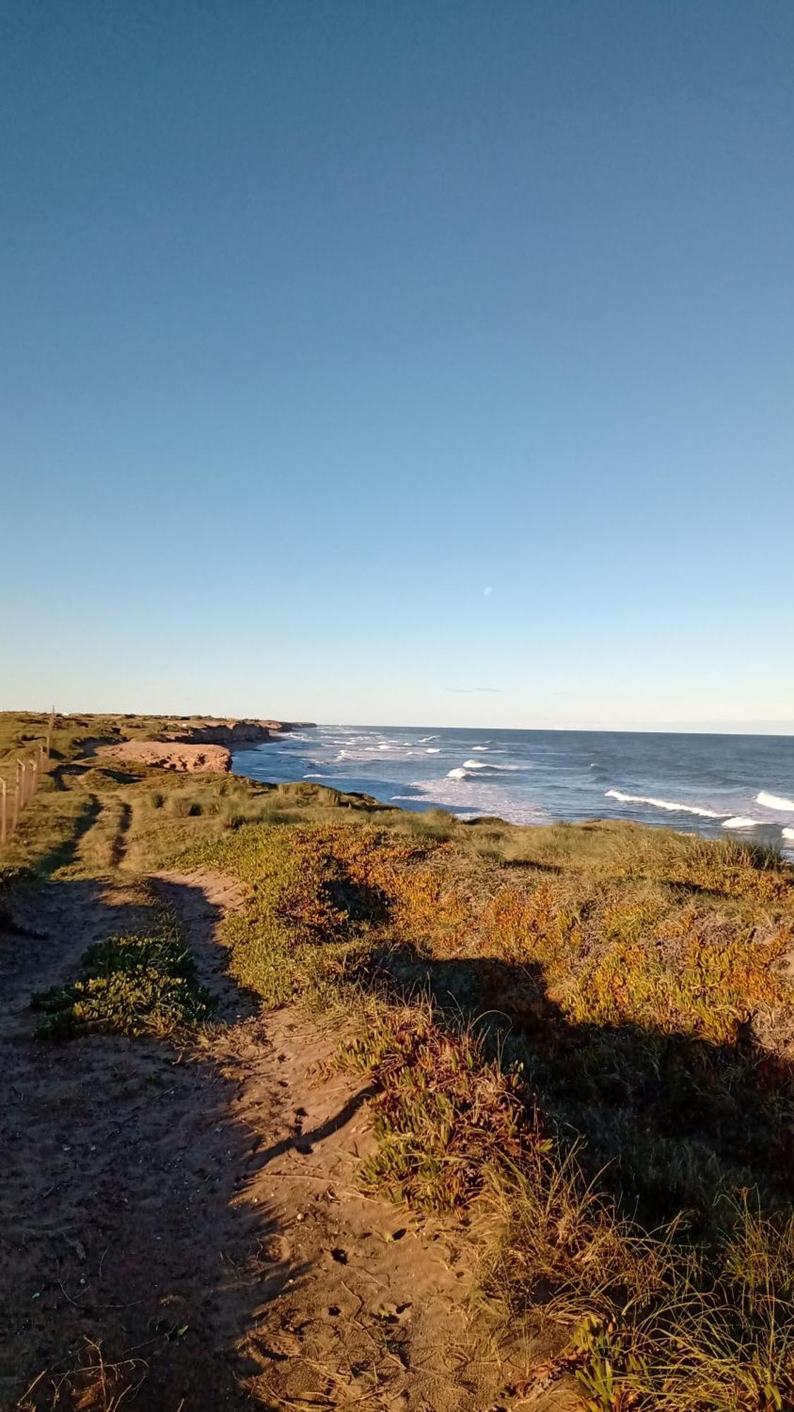 Naranja Mar del Plata
